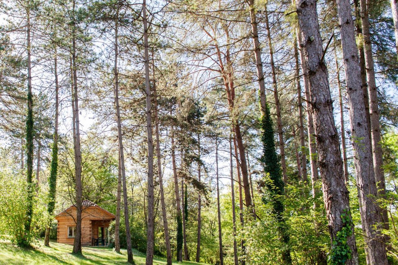 Au Pre De L'Arbre Villa Sarlat-la-Caneda Exterior photo